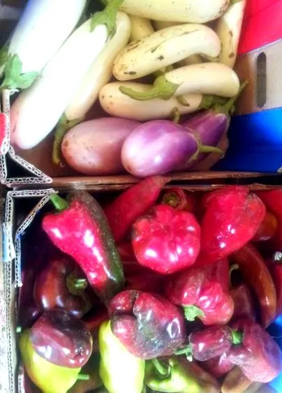 padlizsánmarás