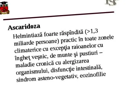 meghatározott