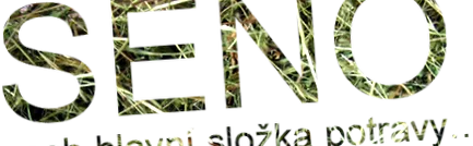 slepicar