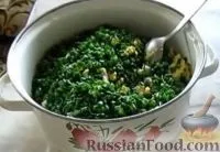 окрошка