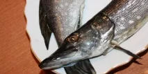 Рецепт юшки в домашніх умовах з фото з коропа, судака юшки