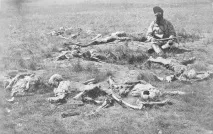 Роберт МакГі Один з небагатьох, хто вижив після скальпування небагатьох