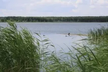 області