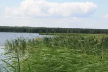 челябінській