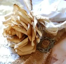 Троянди з фільтрів своїми руками, Жозефіна троянди