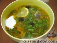 рибна