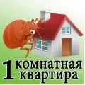 Знищення клопів у квартирах квартирах