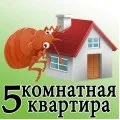 Знищення клопів у квартирах комах