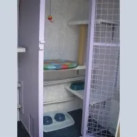 Умови проживання котів - Версія для друку проживання