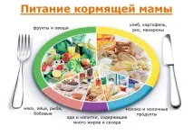 годує