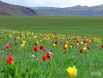 Уральські гори - Оренбурзька область природа, промисловість, пам’ятки природа