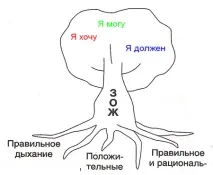 Урок ОБЖ Правила здорового способу життя - обж, уроки здорового