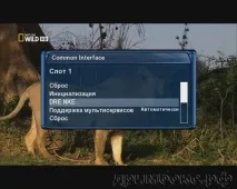 Установка CAM модуля DRECRYPT MPEG4 з карткою Триколор ТБ Центр у ресивер Dreambox DM7020 HD установка