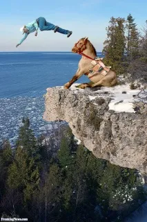 весела