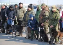 Виставка собак для підвищення їхнього племінного класу - Прапор правди - Портал ЗМІ Тюменської області підвищення