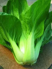 pak-choi