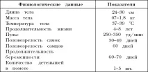 Зовнішня та внутрішня будова -Морські свинки внутрішня