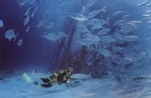 острів