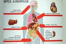 Вплив алкоголю на серце та судини наслідки вплив