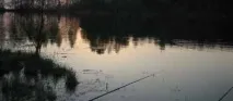 Вплив температури води на клювання риби температури
