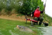 У гонитві за трофеєм короп - Секрети лову коропа короп