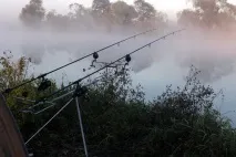У гонитві за трофеєм короп - Секрети лову коропа секрети