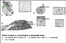 ХАРАКТЕРИСТИКИ І ВЛАСТИВОСТІ ДЕРЕВИНИ, З ЧОГО СКЛАДАЄТЬСЯ ФАНЕРА, ВИРОБНИЦТВО ШПОНУ, ВІД ЧОГО ЗАЛЕЖИТЬ фанера
