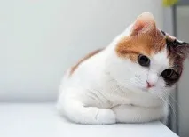 бути