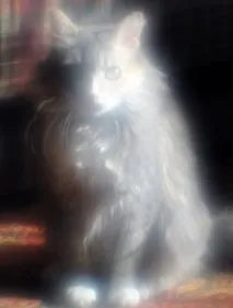 гарний
