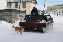 закрите