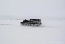 діксон