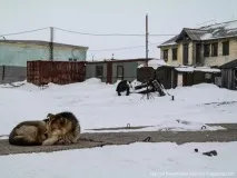 діксон