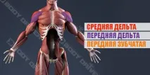 техніка