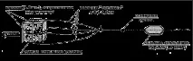 Макуха - Карп і сазан - Довідник рибалки довідник