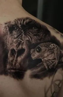 ескізи