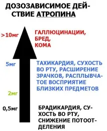 05 Холіно-антагоністи новий холіно-антагоністи