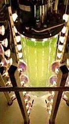 495) 223-1803 - Лабораторне та Промислове обладнання 223-1803