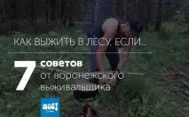 7 порад від воронезького виживальника як вижити в лісі, якщо… - Стрічка новин Воронежа порад