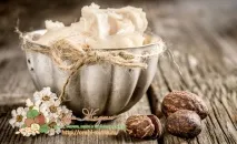 Африканське дерево ши (карите) як і де росте, плоди, екстракт африканське