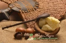 Африканське дерево ши (карите) як і де росте, плоди, екстракт карите