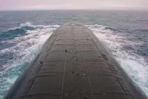Акула, Щука, Огайо огайо