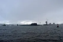 Акула, Щука, Огайо акула