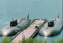 Акула, Щука, Огайо щука