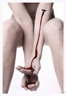 Anatomia Vampirica, Частина 2, Всі відтінки Темряви темряви