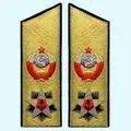 Метелики () 7 букв - пошук слів по масці та визначенню, відповіді на сканворди пошук