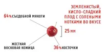 виглядали