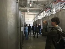 арома