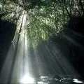 Безодня - пошук слів за маскою та визначенням, відповіді на сканворди пошук