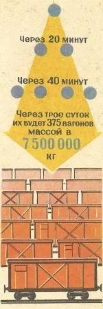 Бактерії, їх будова, розмноження та розповсюдження розповсюдження
