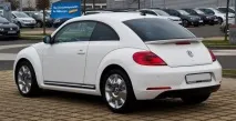 beetle